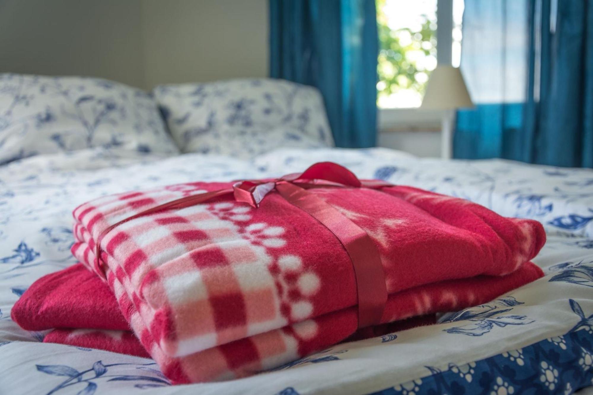Ferienwohnung Fischersfru Flensburg Exteriér fotografie